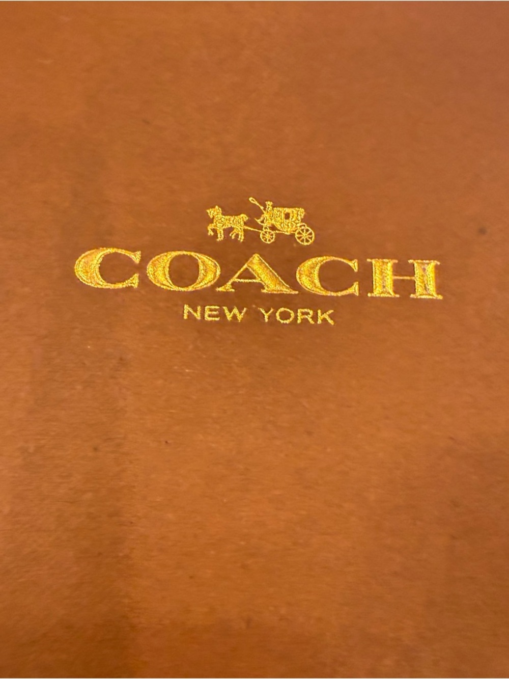 Coach Women’s Turnlock Leather Sandals Ingrid Snakeskin Snake Print Sz 8 NIB - Picture 11 of 12